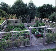 an outdoor garden with many plants growing in the ground and on top of metal railings