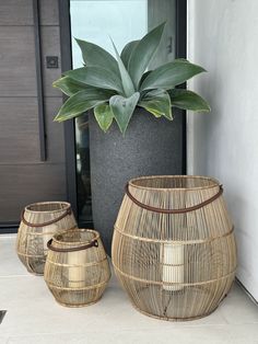 two planters sitting next to each other on the ground near a door with a potted plant in it