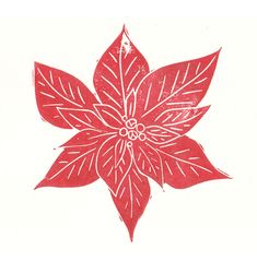 a drawing of a poinsettia flower with leaves on it's petals