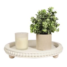 a small potted plant sitting on top of a white tray next to a candle