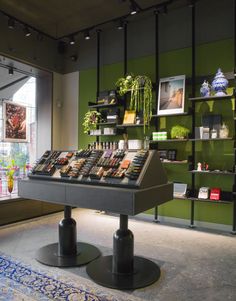 there is a display in the store with many books on it and plants growing out of shelves