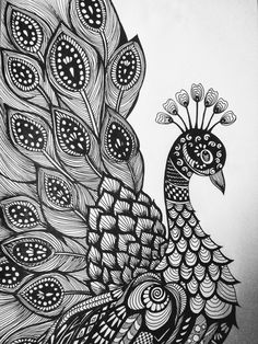 a black and white drawing of a peacock