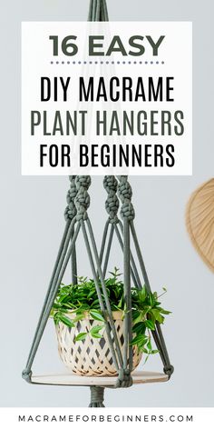 a potted plant with text overlay that reads 16 easy diy macrame plant hangers for beginners