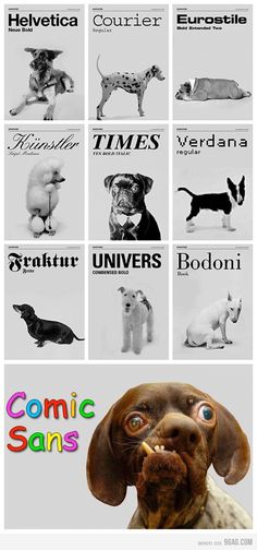 a dog with different types of dogs on it's face and the words comic sans