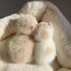 a white teddy bear is curled up in a blanket on the couch with its head resting on it's back