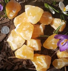 some yellow rocks and purple flowers are on the ground next to a coin with one flower in it