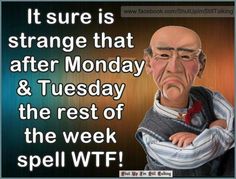 an image of a cartoon character saying it sure is strange that after monday & tuesday the rest of the week spell wf