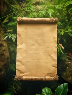 an old paper scroll with writing on it in the middle of some plants and rocks