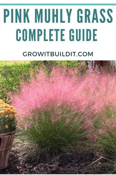 the pink mully grass complete guide is shown in front of a basket with flowers