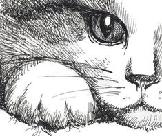 a black and white drawing of a cat's face