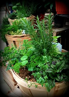 several potted plants are sitting in the middle of a wooden planter filled with dirt