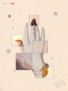 a collage of images with a bird on top of the hand and other objects surrounding it