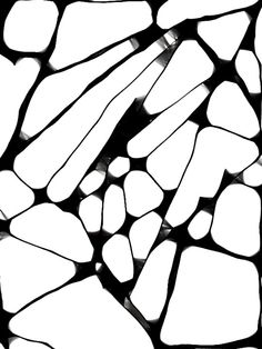 an abstract black and white photo with lots of small pieces of glass in the center