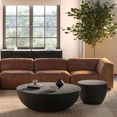 a living room filled with furniture and a plant in the corner on top of a coffee table