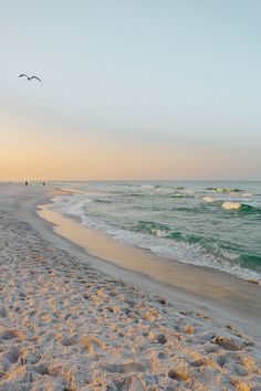 two birds flying over the ocean on a sandy beach at sunset with waves coming in