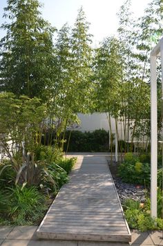 a wooden walkway leading to a white building surrounded by trees and plants on either side