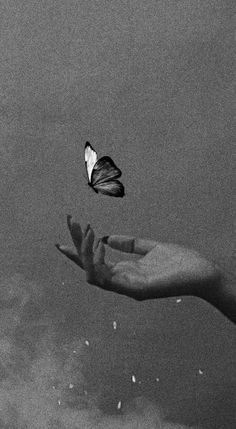 a person's hand reaching for a butterfly in the air above water with clouds