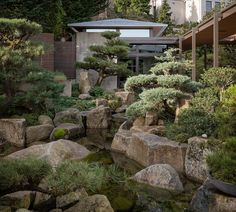 an outdoor garden with rocks and trees