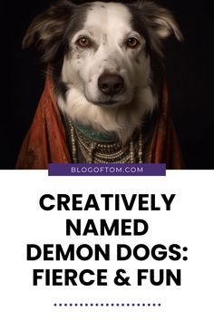 a black and white dog with the words creatively named demon dogs fierce & fun