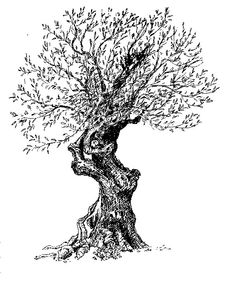 an ink drawing of a tree with lots of leaves and branches growing out of it