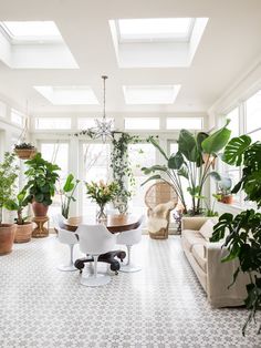 a living room filled with lots of plants and potted plants on top of tables