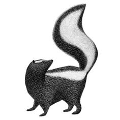 a black and white drawing of a cat with its tail curled in the shape of a wave