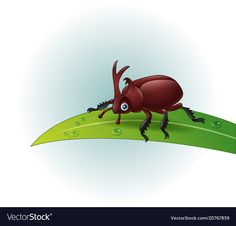 a red bug crawling on top of a green leaf