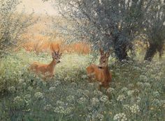 two deer standing next to each other in a field full of grass and trees with white flowers