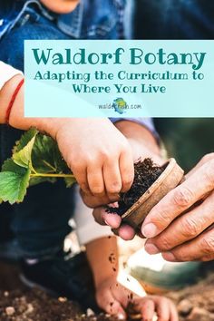 two people holding plants and soil with the words waldorf botany adapting the curriculum to where you live