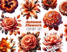 an assortment of flowers that are painted in watercolor on paper with the words autumn flowers clipart set