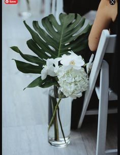 white flowers in a clear vase sitting on a chair next to a large green leaf