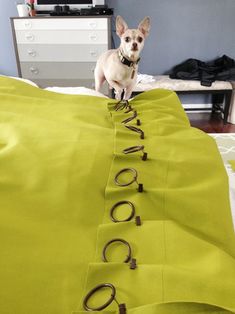 a small dog standing on top of a bed covered in green sheets with glasses attached to it