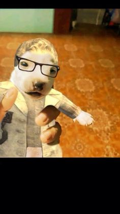 a person holding a stuffed animal with glasses on it's face and pointing at the camera