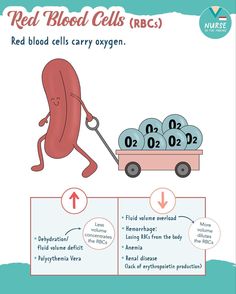 the red blood cells are being transported by a cart with eggs on it and labeled in numbers