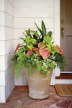 a large potted plant sitting on the front porch with greenery growing in it