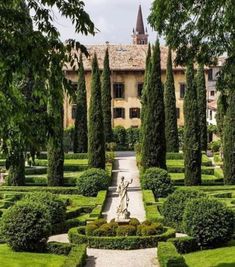 an outdoor garden with hedges, trees and a statue in the center surrounded by greenery