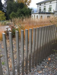 an iron fence in front of a building with tall grass and bushes on the other side