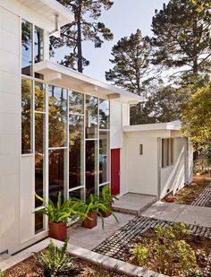 a small white house with lots of windows and plants in front of the door area