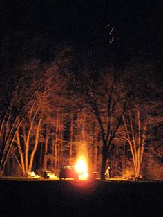 a car driving down a road at night with trees in the background and lights on