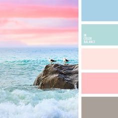 two birds sitting on top of a rock in the ocean with pink and blue hues