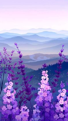 purple flowers are in the foreground with mountains in the background