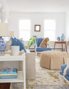 a living room filled with furniture and a dog sitting on top of the couches