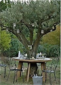 an outdoor table and chairs under a tree with lanterns hanging from it's branches