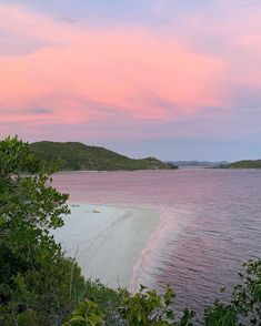 a pink sky over the ocean and trees