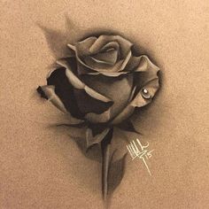 Rose Flower Tattoos, Art Charcoal, Tattoo Lettering Fonts, Floral Tattoo Design, Rose Tattoo Design, Rose Drawing, Flower Sketches, Roses Drawing