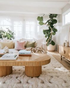 a living room filled with lots of furniture and plants on top of the coffee table