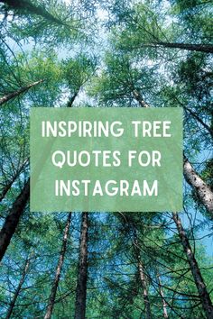 trees with the words inspiring tree quotes for instagram