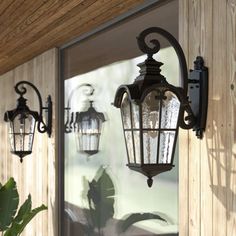 two lights are hanging on the side of a door and next to a potted plant