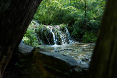 there is a small waterfall in the woods