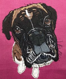 a close up of a dog on a pink background with black and white trimmings